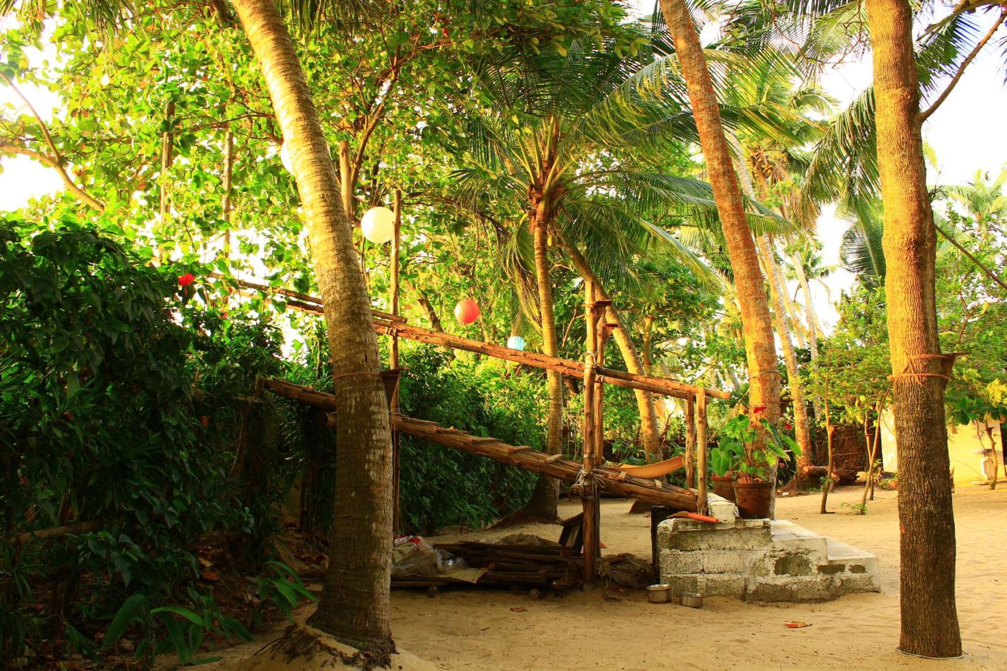 Sea Hut Homestay Kochi Exterior photo